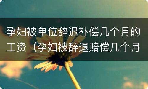 孕妇被单位辞退补偿几个月的工资（孕妇被辞退赔偿几个月工资）