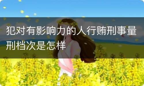 犯对有影响力的人行贿刑事量刑档次是怎样