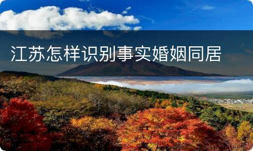 江苏怎样识别事实婚姻同居