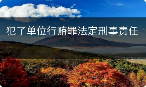 犯了单位行贿罪法定刑事责任