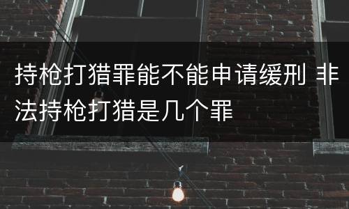 持枪打猎罪能不能申请缓刑 非法持枪打猎是几个罪