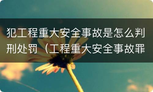 犯工程重大安全事故是怎么判刑处罚（工程重大安全事故罪是单位犯罪吗）