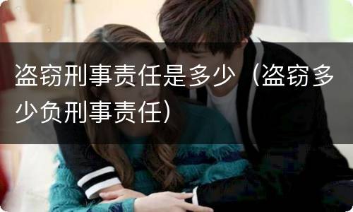 盗窃刑事责任是多少（盗窃多少负刑事责任）