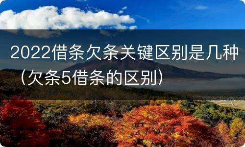 2022借条欠条关键区别是几种（欠条5借条的区别）