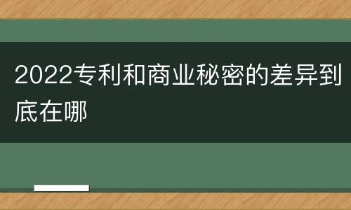 2022专利和商业秘密的差异到底在哪