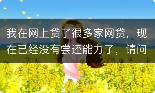 我在网上贷了很多家网贷，现在已经没有尝还能力了，请问我该怎么办，会被坐牢吗