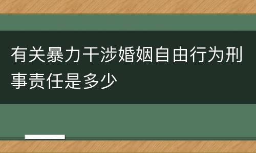有关暴力干涉婚姻自由行为刑事责任是多少