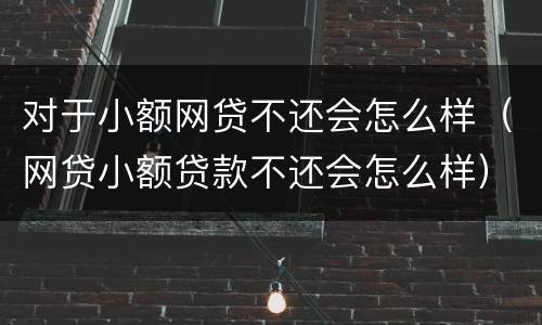 对于小额网贷不还会怎么样（网贷小额贷款不还会怎么样）