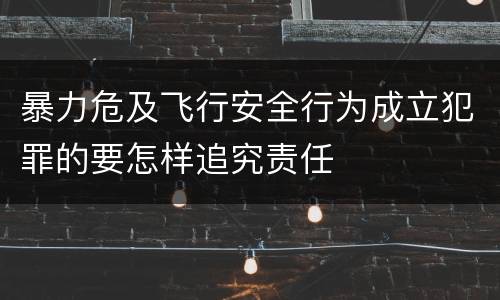 暴力危及飞行安全行为成立犯罪的要怎样追究责任