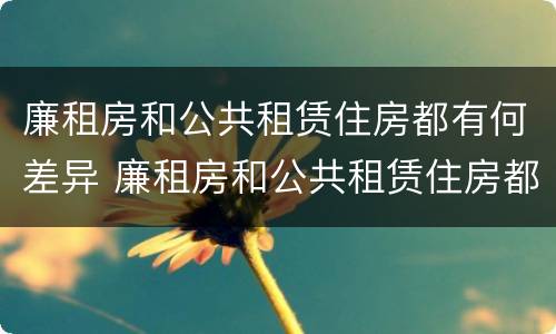 廉租房和公共租赁住房都有何差异 廉租房和公共租赁住房都有何差异呢
