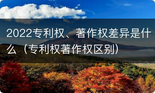 2022专利权、著作权差异是什么（专利权著作权区别）