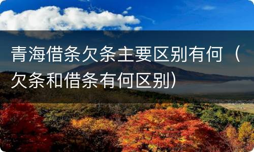 青海借条欠条主要区别有何（欠条和借条有何区别）