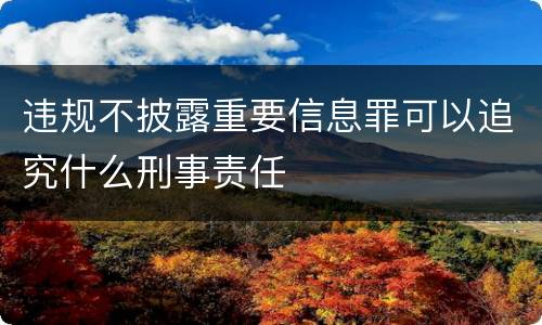 违规不披露重要信息罪可以追究什么刑事责任