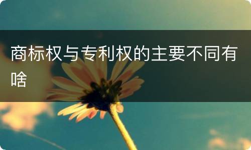 商标权与专利权的主要不同有啥