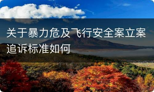 关于暴力危及飞行安全案立案追诉标准如何