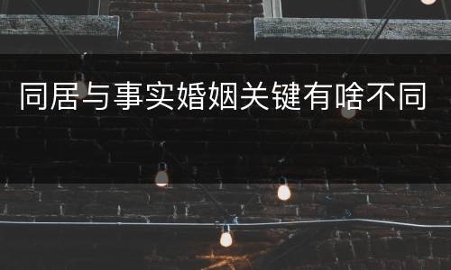 同居与事实婚姻关键有啥不同