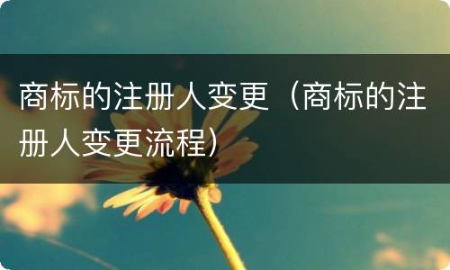 商标的注册人变更（商标的注册人变更流程）