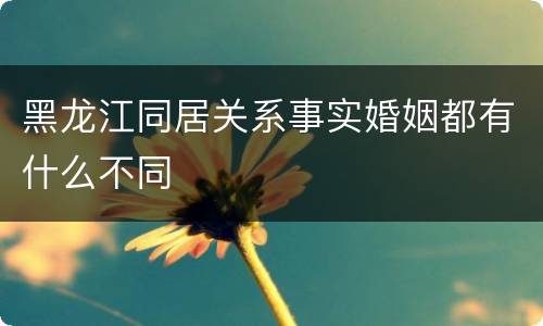 黑龙江同居关系事实婚姻都有什么不同