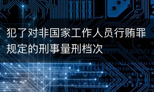 犯了对非国家工作人员行贿罪规定的刑事量刑档次