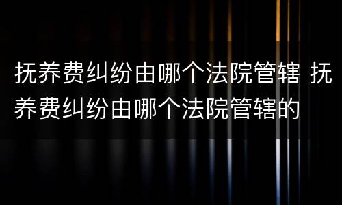 抚养费纠纷由哪个法院管辖 抚养费纠纷由哪个法院管辖的