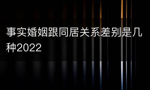 事实婚姻跟同居关系差别是几种2022