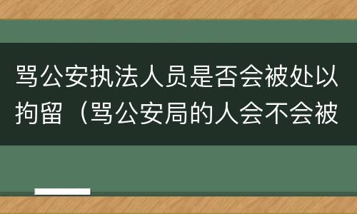 骂公安执法人员是否会被处以拘留（骂公安局的人会不会被拘留）