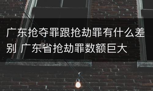 广东抢夺罪跟抢劫罪有什么差别 广东省抢劫罪数额巨大