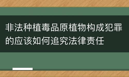 非法种植毒品原植物构成犯罪的应该如何追究法律责任