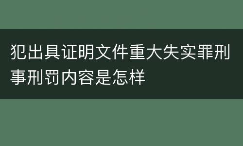 犯出具证明文件重大失实罪刑事刑罚内容是怎样