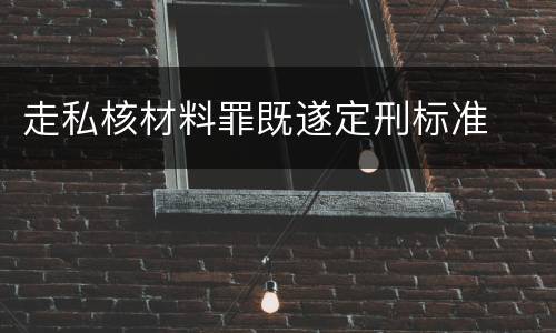 走私核材料罪既遂定刑标准