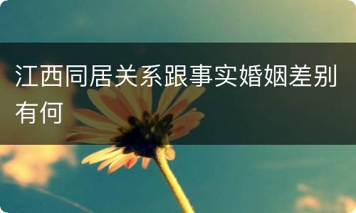 江西同居关系跟事实婚姻差别有何