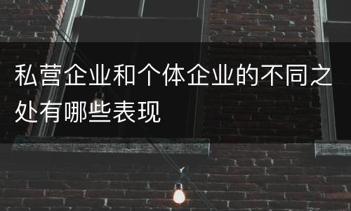 私营企业和个体企业的不同之处有哪些表现