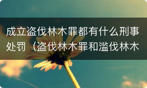 成立盗伐林木罪都有什么刑事处罚（盗伐林木罪和滥伐林木罪的立案标准）
