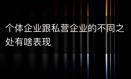 个体企业跟私营企业的不同之处有啥表现