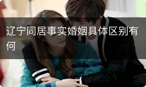 辽宁同居事实婚姻具体区别有何