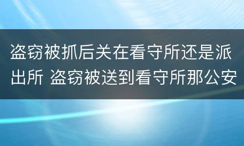 盗窃被抓后关在看守所还是派出所 盗窃被送到看守所那公安局立案了吗