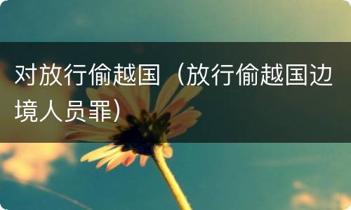 对放行偷越国（放行偷越国边境人员罪）