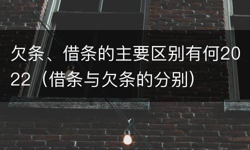 欠条、借条的主要区别有何2022（借条与欠条的分别）