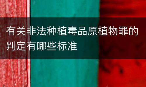 有关非法种植毒品原植物罪的判定有哪些标准