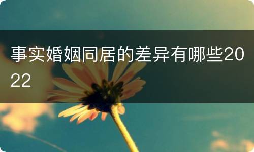 事实婚姻同居的差异有哪些2022