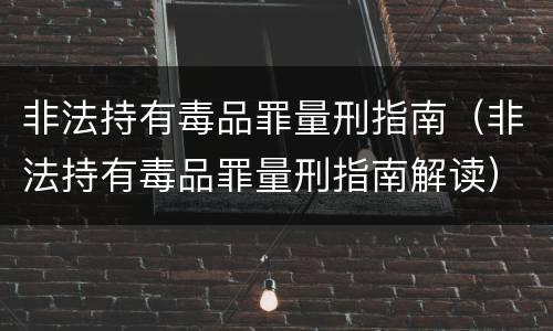 非法持有毒品罪量刑指南（非法持有毒品罪量刑指南解读）