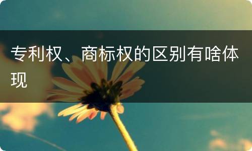 专利权、商标权的区别有啥体现