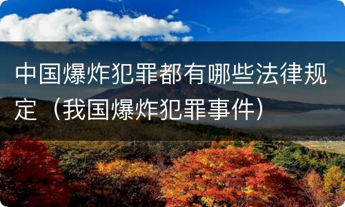 中国爆炸犯罪都有哪些法律规定（我国爆炸犯罪事件）