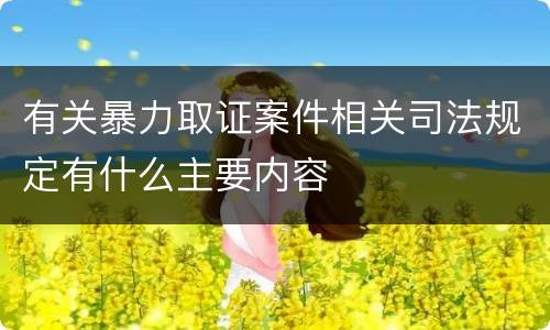 有关暴力取证案件相关司法规定有什么主要内容