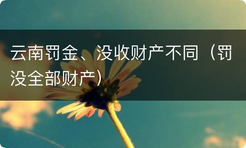 云南罚金、没收财产不同（罚没全部财产）