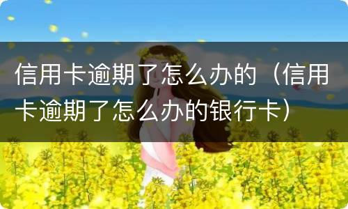 信用卡逾期了怎么办的（信用卡逾期了怎么办的银行卡）