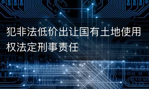犯非法低价出让国有土地使用权法定刑事责任