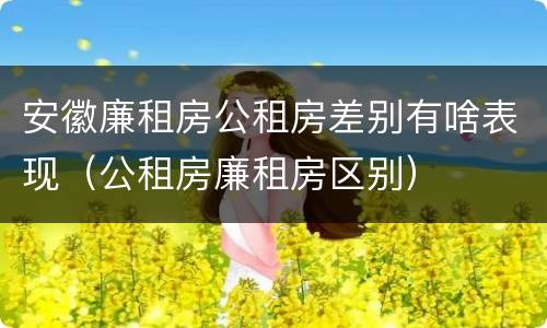 安徽廉租房公租房差别有啥表现（公租房廉租房区别）