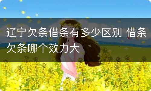 辽宁欠条借条有多少区别 借条欠条哪个效力大