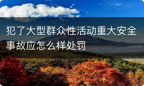 犯了大型群众性活动重大安全事故应怎么样处罚
